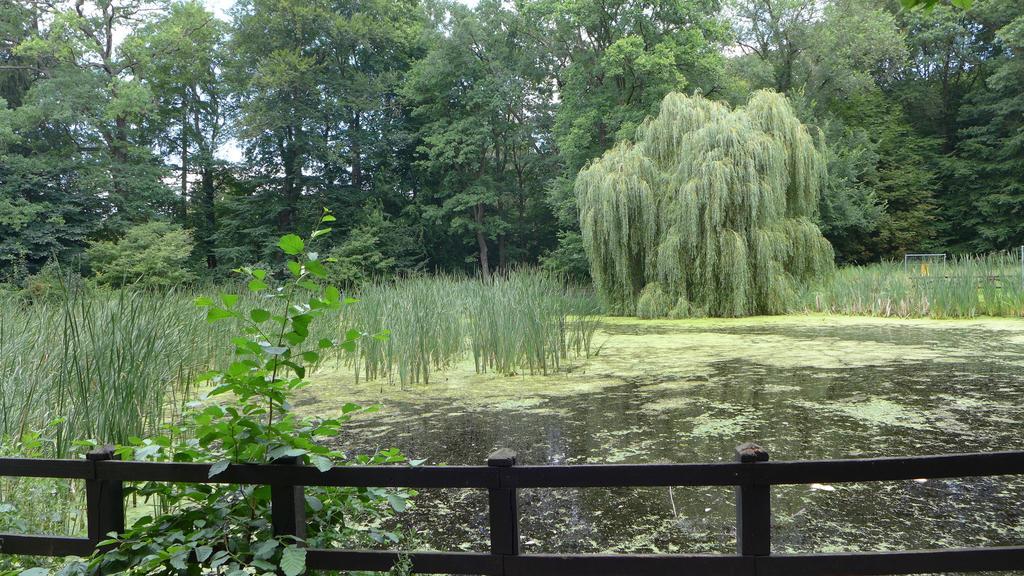 Ferienhaus Natura نيوروبين الغرفة الصورة