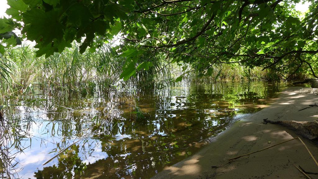 Ferienhaus Natura نيوروبين الغرفة الصورة