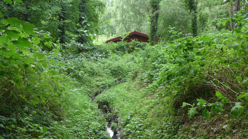 Ferienhaus Natura نيوروبين الغرفة الصورة